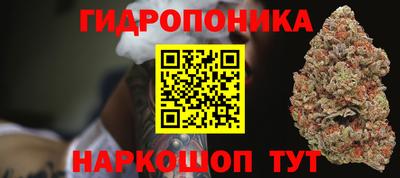 стаф Заводоуковск