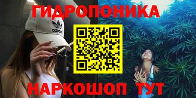 стаф Заводоуковск