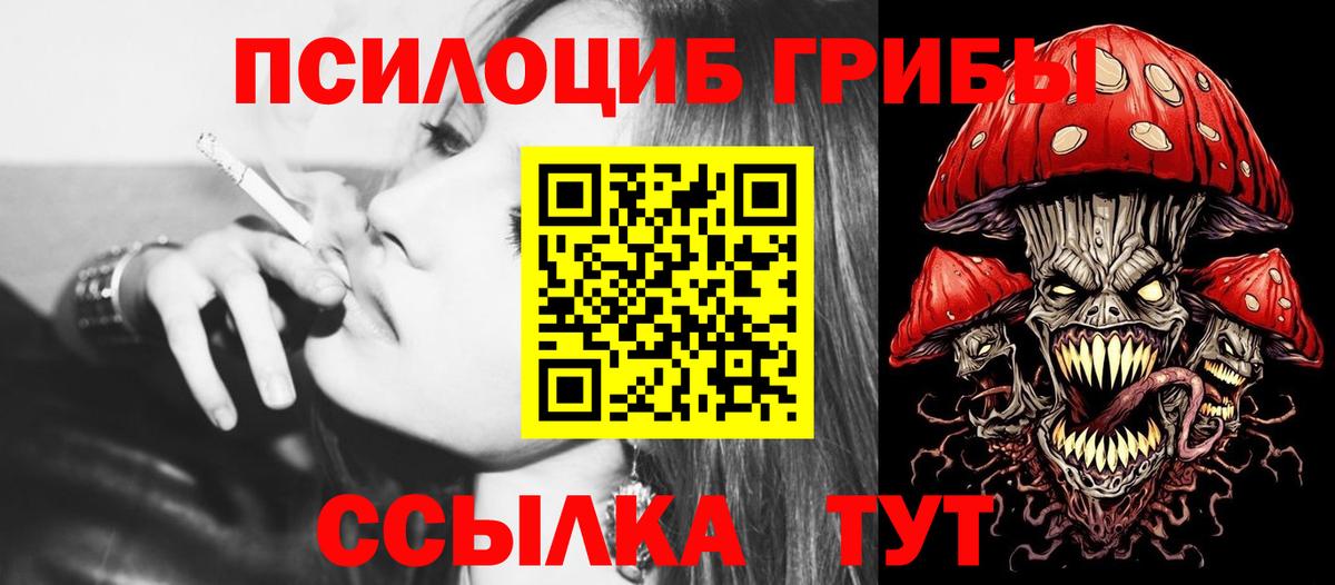 где купить   Вход с VPN  Мыски  Галлюциногенные грибы Cubensis 