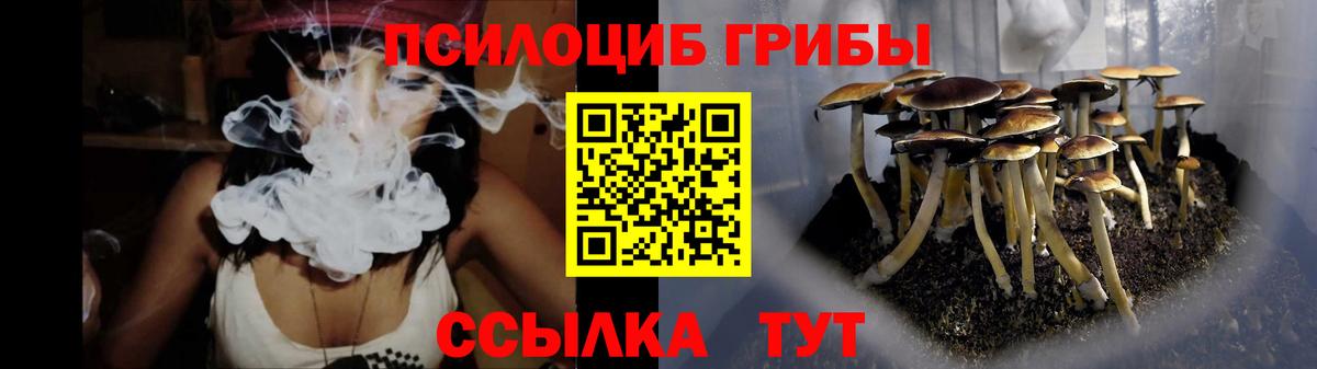 Псилоцибиновые грибы мухоморы Мыски